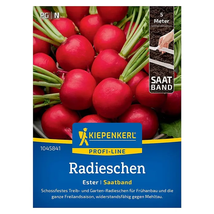 Kiepenkerl Gemüsesamen Radieschen Ester - Raphanus sativus sativus, Erntezeit: März - Eine Packung Radieschensamen der Marke Kiepenkerl Profi-Line, Sorte Ester Saatband.