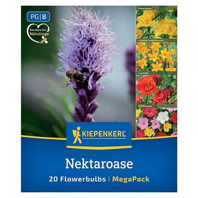 Kiepenkerl Blumensamenmischung Nektaroase - Mischung, Mehrfarbig - Produktbild von "Nektaroase" Blumenzwiebeln von Kiepenkerl, einer Mischung aus verschiedenen nektarreichen Blumen.