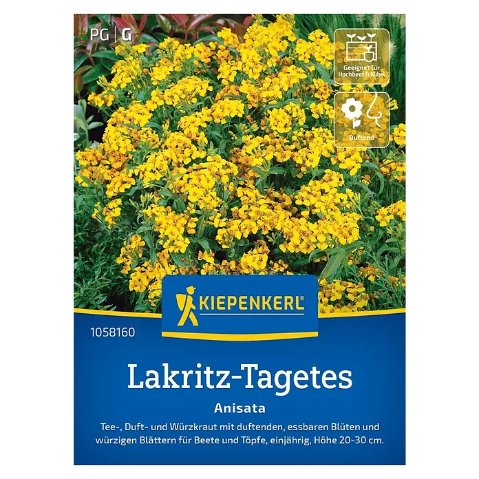 Kiepenkerl Kräutersamen Lakritz-Tagetes Anisata - Tagetes lucida, Saatzeit: April, Erntezeit: Juni - Bild einer Kiepenkerl Lakritz-Tagetes 'Anisata' Pflanzenpackung, ideal für Beet und Kübel, duftend und essbar.
