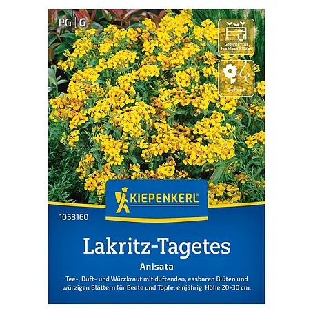 Kiepenkerl  Kräutersamen Lakritz-Tagetes Anisata