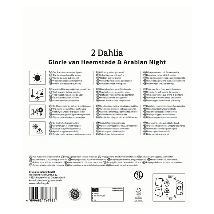 Kiepenkerl Dahlie Glory of Heemstede & Arabian - Dahlia x Hybrida, Mehrfarbig - Produktverpackung für 2 Dahlien "Glorie van Heemstede & Arabian Night" mit Pflanz- und Pflegehinweisen.