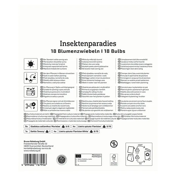 Kiepenkerl Blumenzwiebeln Mega-Pack Insektenparadies - 18 Stk. - Eine Packung mit 18 Insektenparadies Blumenzwiebeln, darunter Gladiolen, Liatris und Dahlien, für eine farbenfrohe Gartensaison.