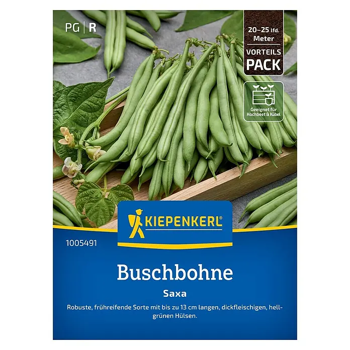 Kiepenkerl Gemüsesamen Buschbohne Saxa Vorteilspack - Phaseolus vulgaris nanus, Erntezeit: Juli - Die Buschbohne 'Saxa' ist eine robuste, frühreife Sorte mit hellgrünen Hülsen, ideal für Hochbeete und Kübel.