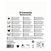 Kiepenkerl Mešana cvetlična semena montbrecij Mix  (Crocosmia crocosmiiflora, Večbarvna) | 8113 - Frühjahrsblumenzwiebeln | IBXA - Blumenzwiebeln | IBX - Blumenzwiebeln | IB - Grünpflanzen/Sämereien | I - Stadtgarten | BAUHAUS
