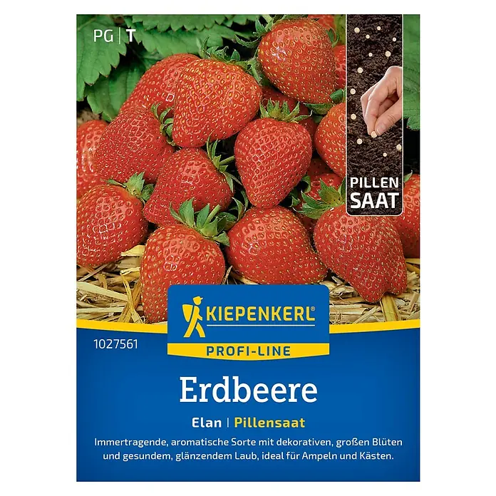 Kiepenkerl Profi-Line Obstsamen Erdbeere Elan, F1 - Fragaria ananassa, Erntezeit: Mai - Erdbeersamen der Sorte 'Elan' von Kiepenkerl Profi-Line. Pillensaat für eine reiche Ernte aromatischer Erdbeeren mit dekorativen Blüten.