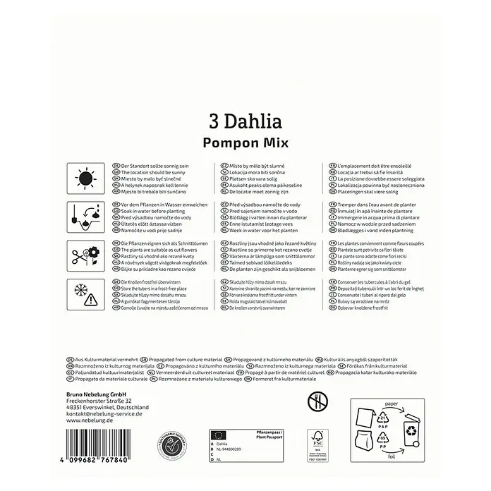 Kiepenkerl Dahlie Pompon Mix - Dahlia x Hybrida, Mehrfarbig - Produktverpackung für 3 Dahlien Pompon Mix, mit Pflanz- und Pflegehinweisen.