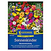Kiepenkerl Profi-Line Blumensamenmischung Sonnenkinder (Mischung, Mehrfarbig) | BAUHAUS