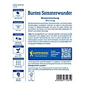 Kiepenkerl Blumensamenmischung Buntes Sommerwunder (Mischung, Mehrfarbig) | BAUHAUS