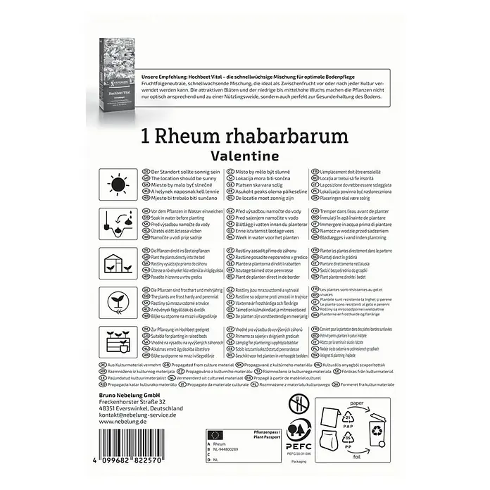 Kiepenkerl Gemüsesamen Rhabarber Valentine - Rheum rhabarbarum, Erntezeit: Mai - Bild von Rheum rhabarbarum Valentine-Produktinformationen, ideal für sonnige Standorte und frostbeständige Gärten.