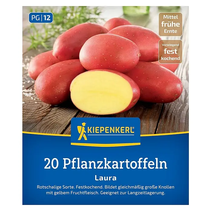 Kiepenkerl Pflanzkartoffeln Laura - Solanum tuberosum, 20 Stk. - Das Bild zeigt eine Packung Pflanzkartoffeln der Sorte Laura von Kiepenkerl, eine mittelfrühe, vorwiegend festkochende Sorte mit roter Schale.