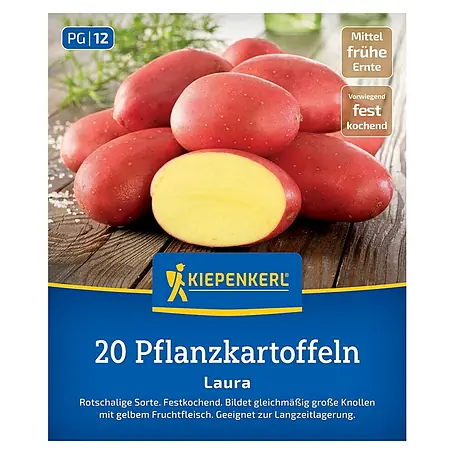 Kiepenkerl  Pflanzkartoffeln Laura