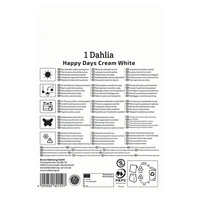 Kiepenkerl Dahlie Happy Days Creamwhite - Dahlia x Hybrida, Mehrfarbig - Produktetikett einer Dahlie 'Happy Days Cream White' mit Pflanz- und Pflegehinweisen.