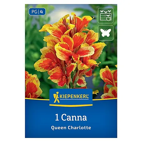 Kiepenkerl  Blumensamenmischung Blumenrohr Queen Charlotte
