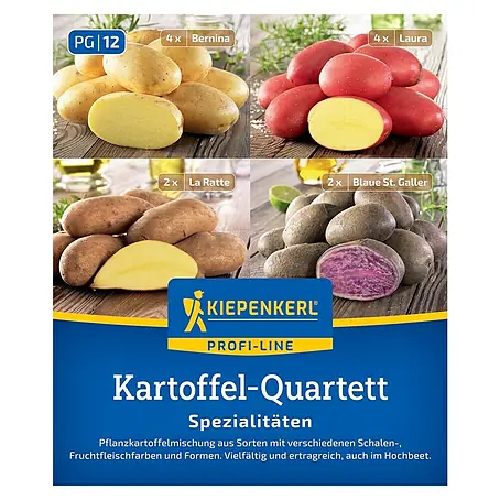 Kiepenkerl Profi-Line Pflanzkartoffeln Quartett