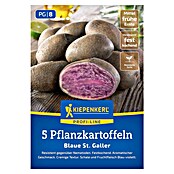 Kiepenkerl Profi-Line Pflanzkartoffeln Blauer St. Galler (Solanum tuberosum, 5 Stk., Erntezeit: August) | BAUHAUS