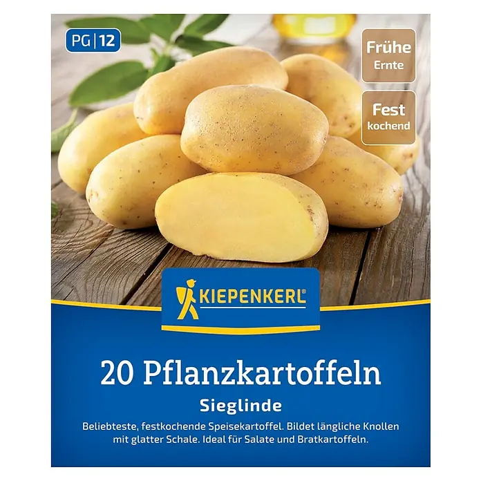 Kiepenkerl Pflanzkartoffeln Sieglinde - Solanum tuberosum, 20 Stk., Erntezeit: Juli - Abbildung von Kiepenkerl Pflanzkartoffeln "Sieglinde", ideal für Salate und Bratkartoffeln.
