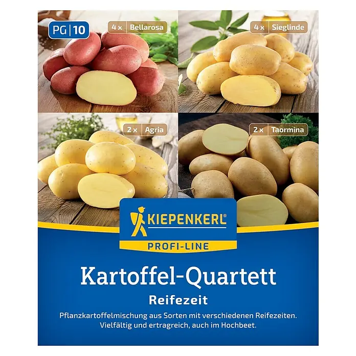 Kiepenkerl Profi-Line Pflanzkartoffeln Quartett Reifezeit - Solanum tuberosum, 12 Stk., Erntezeit: Juli - Pflanzkartoffel-Quartett "Kiepenkerl Profi-Line" mit vier verschiedenen Sorten: Bellarosa, Sieglinde, Agria und Taormina für eine vielfältige Ernte.