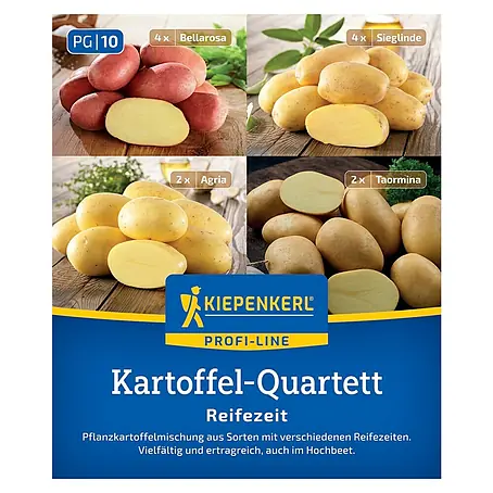 Kiepenkerl Profi-Line Pflanzkartoffeln Quartett Reifezeit