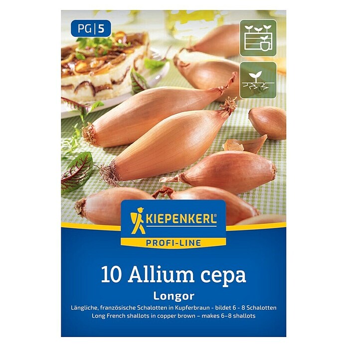 Kiepenkerl Steckzwiebeln Französische Schalotte Longor Gr. 20/45 (Allium cepa, Erntezeit: Juli) | BAUHAUS