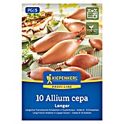 Kiepenkerl Steckzwiebeln Französische Schalotte Longor Gr. 20/45 (Allium cepa, Erntezeit: Juli) | BAUHAUS