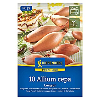 Kiepenkerl Steckzwiebeln Französische Schalotte Longor Gr. 20/45 (Allium cepa, Erntezeit: Juli)