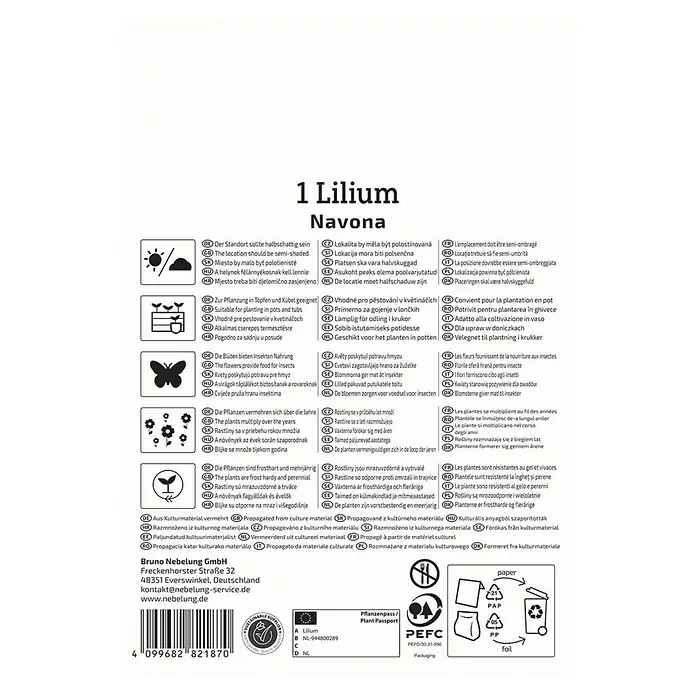 Kiepenkerl Blumensamenmischung Lilie Navona - Lilium - Verpackungsbild der 1 Lilium Navona Blumenzwiebel, ideal für halbschattige Standorte, zur Bepflanzung in Töpfen und Rabatten.