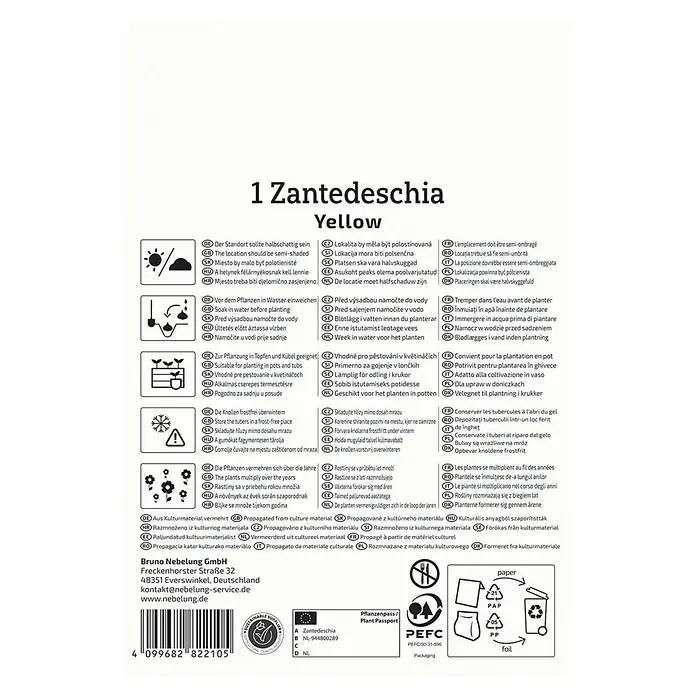 Kiepenkerl Blumensamenmischung Calla Gelb - Zantedeschia x Hybrida - Produktbild der Zantedeschia Yellow mit Pflegehinweisen zu Standort, Bewässerung und Vermehrung.