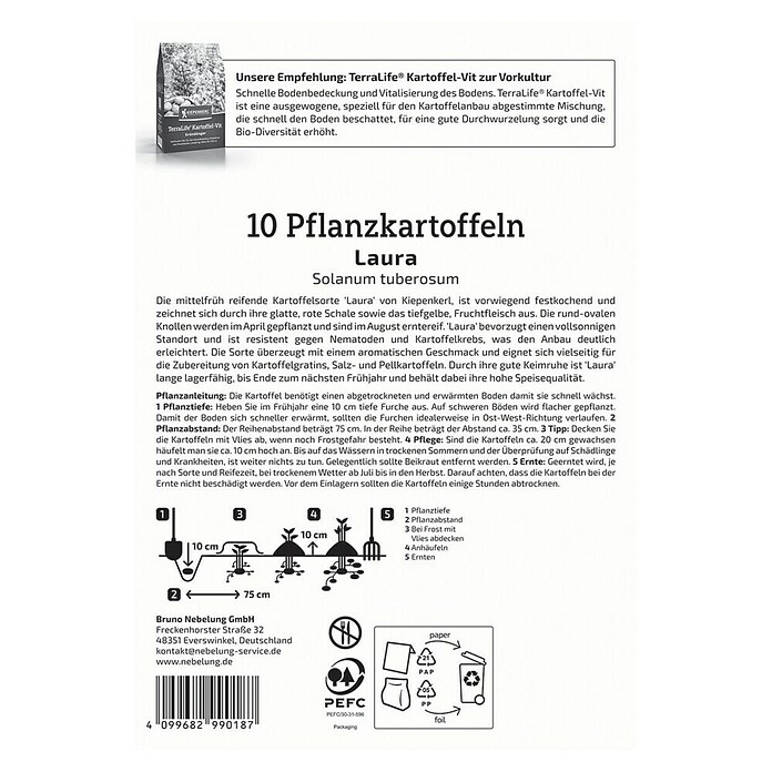 Kiepenkerl Pflanzkartoffeln Laura (Solanum tuberosum, 10 Stk.) | BAUHAUS