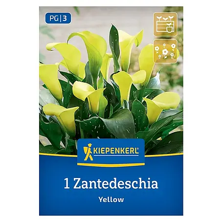Kiepenkerl  Blumensamenmischung Calla Gelb