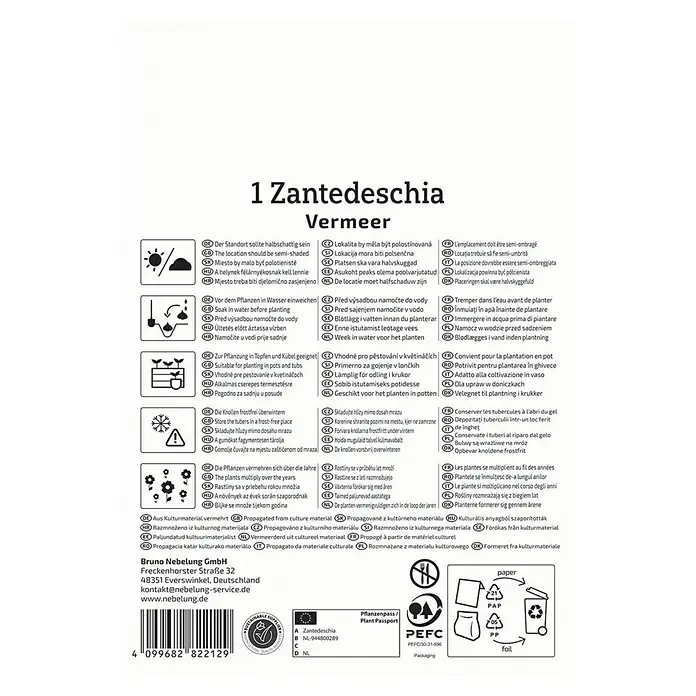 Kiepenkerl Blumensamenmischung Calla Vermeer - Zantedeschia x Hybrida, Mehrfarbig - Produktinformationen für Zantedeschia Vermeer: Standort, Bewässerung, Pflanzung, Überwinterung und Vermehrung.