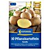 Kiepenkerl Pflanzkartoffeln Gunda 