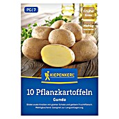 Kiepenkerl Pflanzkartoffeln Gunda (Solanum tuberosum, 10 Stk., Erntezeit: August) | BAUHAUS