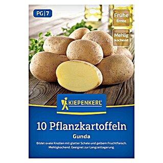 Kiepenkerl Pflanzkartoffeln Gunda (Solanum tuberosum, 10 Stk., Erntezeit: August)
