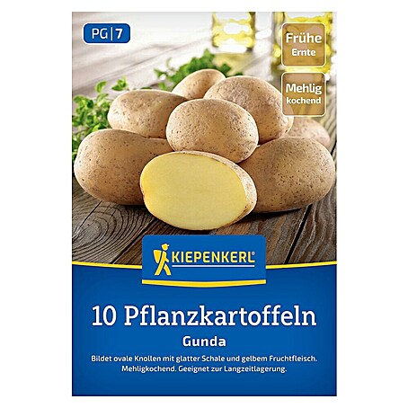 Kiepenkerl Pflanzkartoffeln Gunda (Solanum tuberosum, 10 Stk., Erntezeit: August)