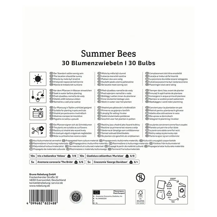 Kiepenkerl Blumensamenmischung Summer Bees Megapack - Mischung, Mehrfarbig - Sommer Bees Blumenzwiebeln Packung mit 30 Zwiebeln, darunter Iris, Gladiolen, Anemonen und Crocosmien für einen farbenfrohen Sommergarten.