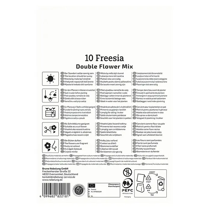 Kiepenkerl Blumensamenmischung Freesien Flower Double Mix - Begonia x Tuberhybrida - Produktabbildung mit Pflanz- und Pflegehinweisen für 10 Freesien Double Flower Mix.