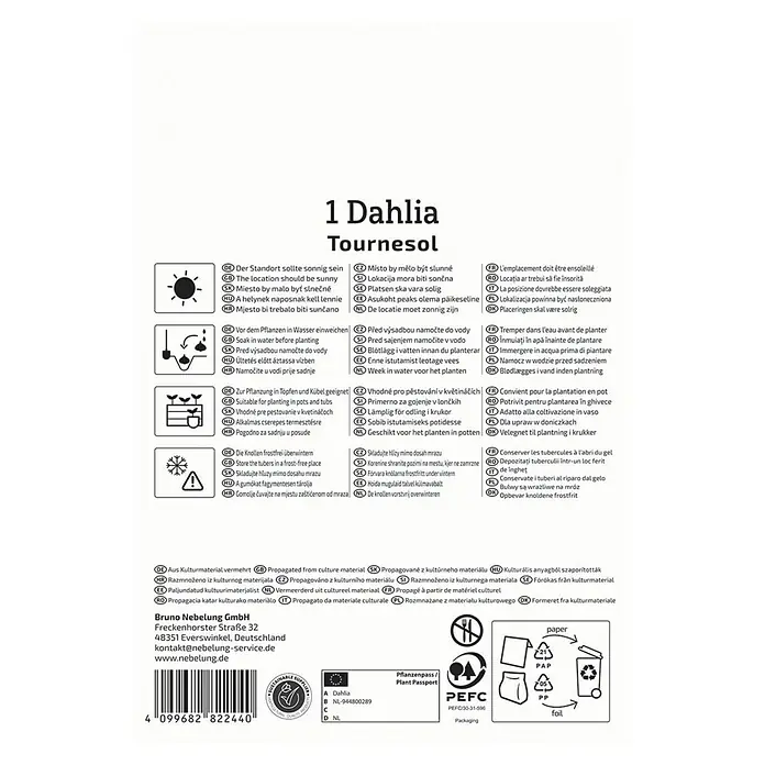 Kiepenkerl Dahlie Tournesol - Dahlia x Hybrida, Mehrfarbig - Produktverpackung einer '1 Dahlia Tournesol' mit Anweisungen zu Standort, Bewässerung, Pflanzung und Pflege.