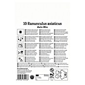 Kiepenkerl Mešana cvetlična semena zlatic Aviv Mix  (Ranunculus, Večbarvna) | 8113 - Frühjahrsblumenzwiebeln | IBXA - Blumenzwiebeln | IBX - Blumenzwiebeln | IB - Grünpflanzen/Sämereien | I - Stadtgarten | BAUHAUS