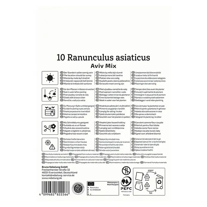 Kiepenkerl Blumensamenmischung Ranunkelmischung Aviv Mix - Ranunculus, Mehrfarbig - Informationen zur Ranunkel Asiaticus Aviv Mix, inklusive Standort, Bewässerung, Pflanzung, Schnitt, Lagerung und Vermehrung.