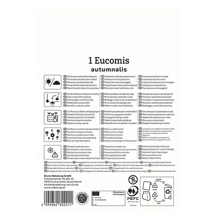 Kiepenkerl Blumensamenmischung Eucomis autumnalis - Eucomis autumnalis - Produktinformationen zu Eucomis autumnalis: Standort, Pflege, Vermehrung und Überwinterungshinweise.