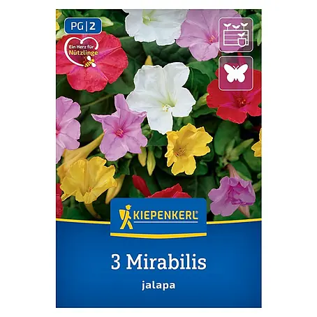 Kiepenkerl  Blumensamenmischung Wunderblume Jalapa