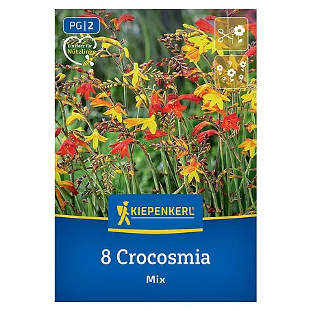 Kiepenkerl  Blumensamenmischung Crocosmia kleinblumige Mischung