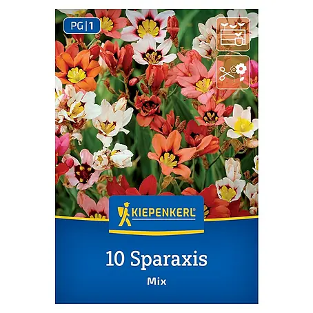 Kiepenkerl  Blumensamenmischung Fransenschwertel-Mischung