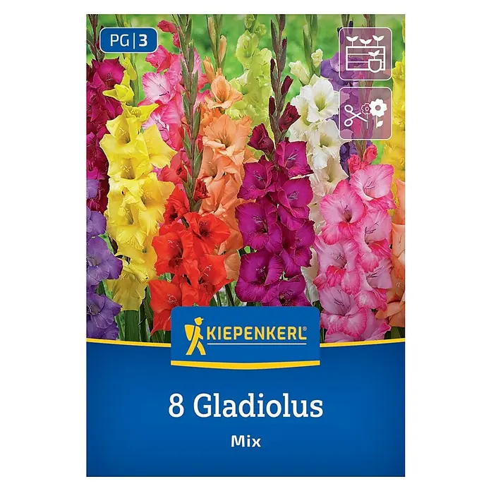 Kiepenkerl Blumensamenmischung Gladiole Mix - Gladiolus x Hybrida, Mehrfarbig - Abbildung einer Packung mit 8 Gladiolen-Mix-Blumenzwiebeln der Marke Kiepenkerl, ideal für bunte Sommerblumenbeete und Rabatten.