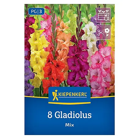 Kiepenkerl  Blumensamenmischung Gladiole Mix