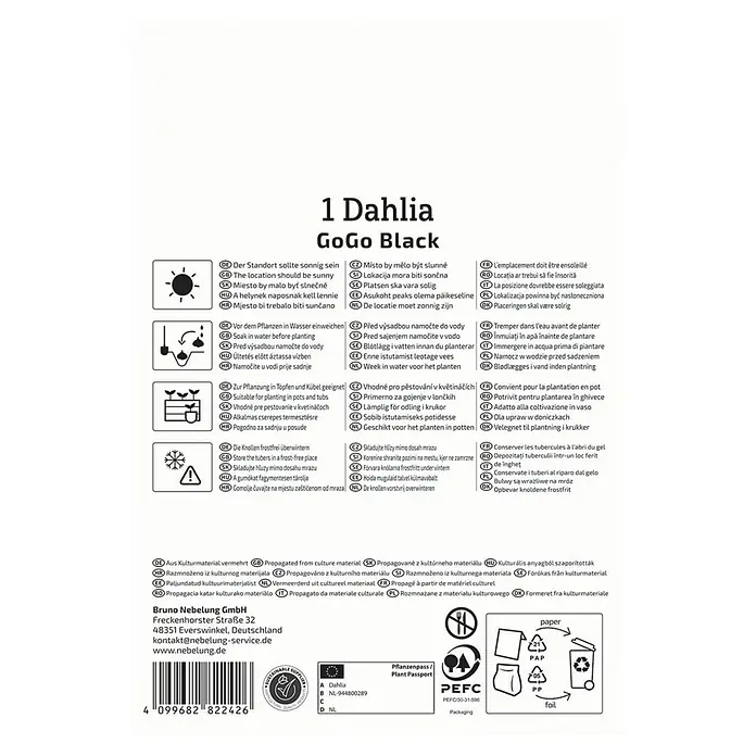 Kiepenkerl Dahlie Go Go Black - Dahlia x Hybrida, Mehrfarbig - Produktverpackungsinformationen für 1 Dahlia GoGo Black.