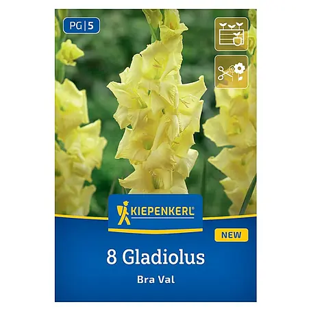 Kiepenkerl  Blumensamenmischung Gladiolus Bra Val