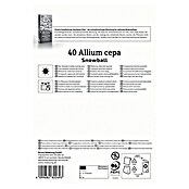 Kiepenkerl Steckzwiebeln Snowball Gr. 12/24 (Allium cepa, Erntezeit: Juli) | BAUHAUS