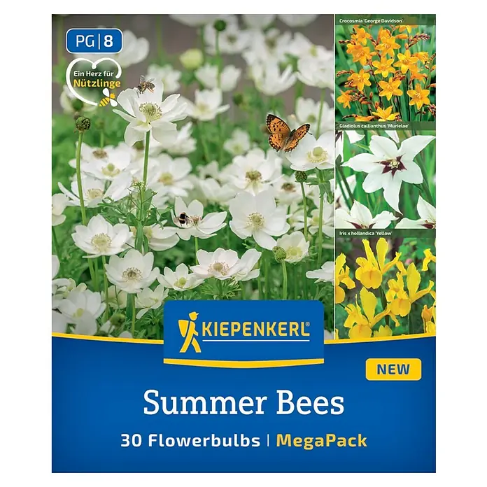 Kiepenkerl Blumensamenmischung Summer Bees Megapack - Mischung, Mehrfarbig - Abbildung der "Summer Bees"-Blumenzwiebelpackung von Kiepenkerl mit 30 Blumenzwiebeln.