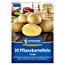 Kiepenkerl Pflanzkartoffeln Linda 
